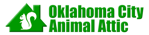 Oklahoma City Animal Attic